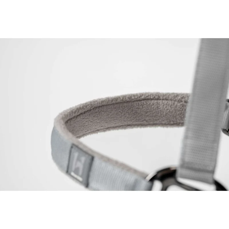 Amigo Licol et Longe Newmarket Witney Charcoal