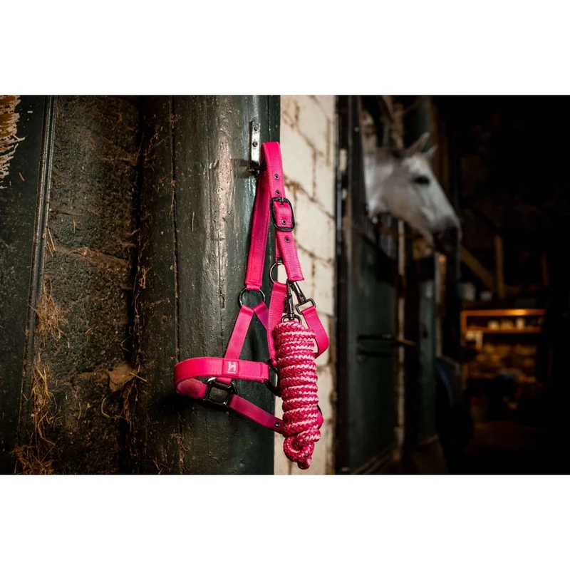 Amigo Licol et Longe Newmarket Witney Pink
