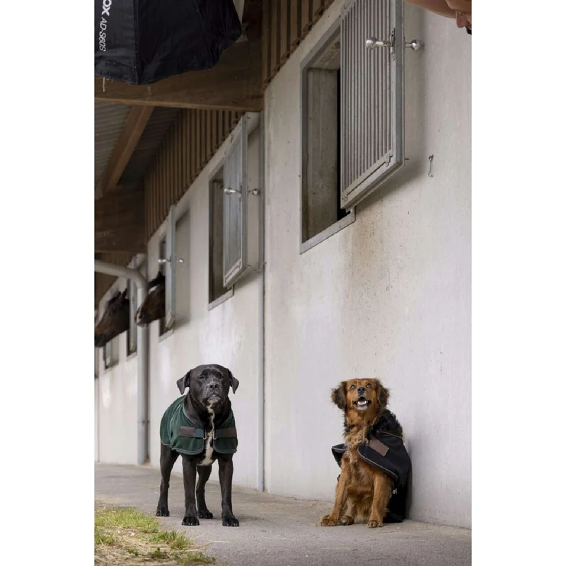 Diego & Louna Couverture pour Chien Polar Noir
