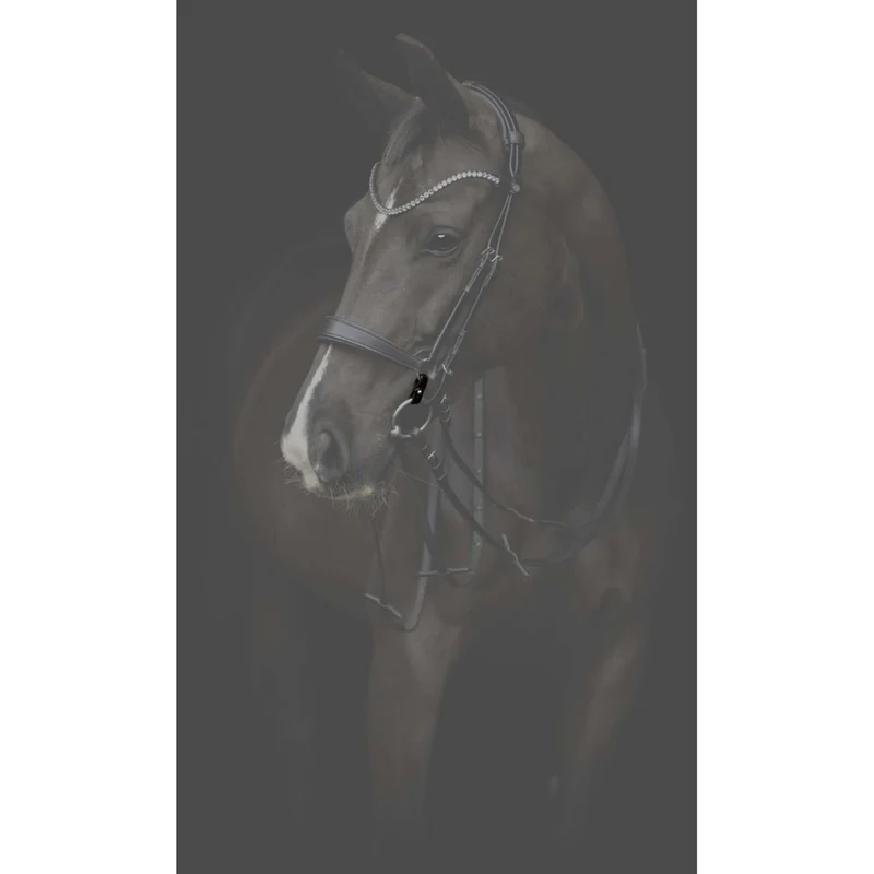 Catago Connecting Rings Gentle Marron