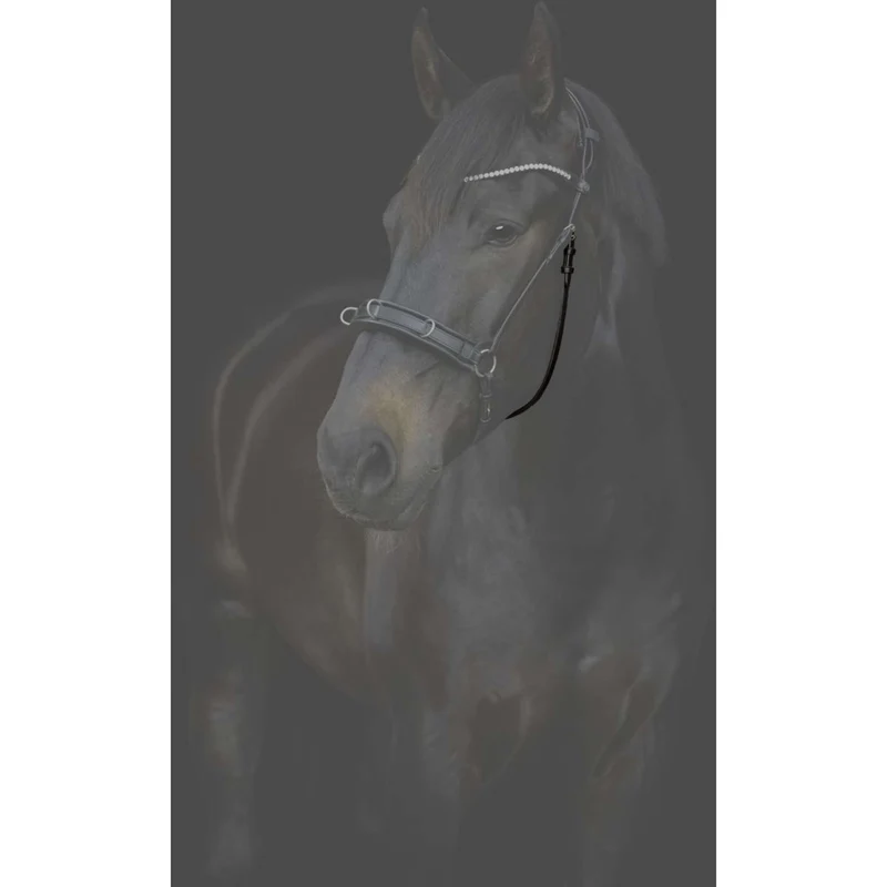 Catago Sous-Gorge Gentle avec Boucles Marron
