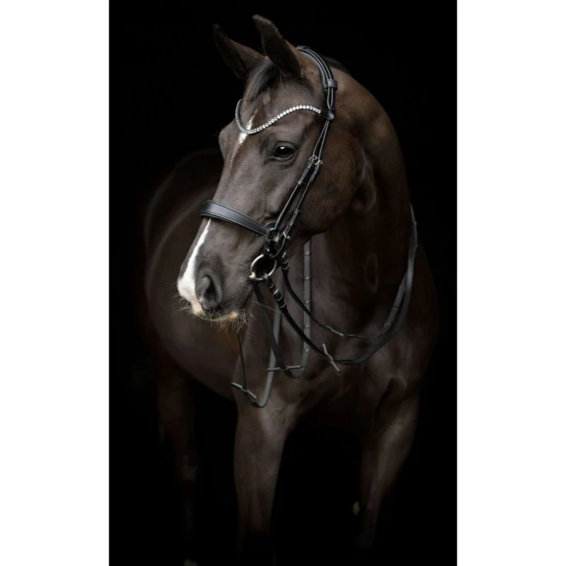 Catago Frontal Gentle Noir