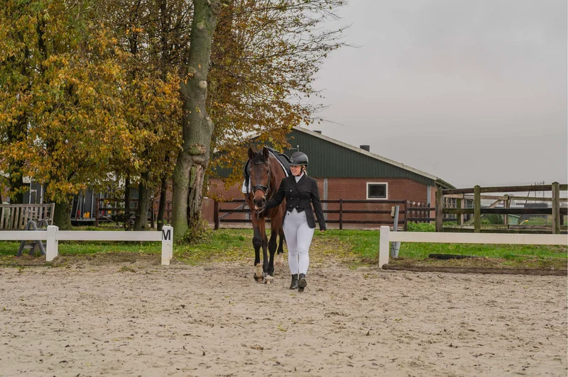 Wedstrijdset Dames