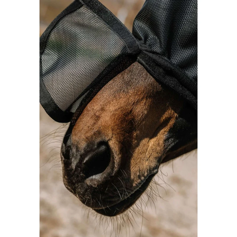 EQUITHÈME Masque Anti-Mouches Protec avec Protection UV Noir