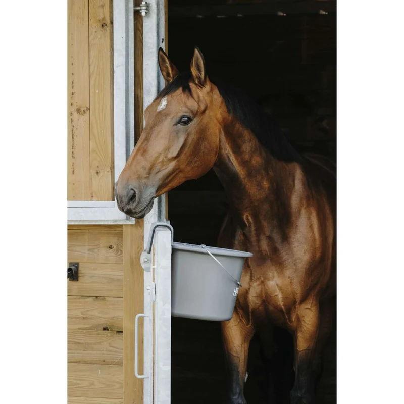 Hippotonic Mangeoire avec Poignée Gris Foncé