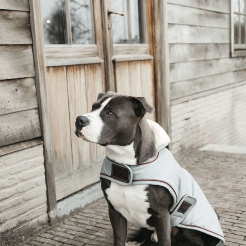 Kentucky Veste pour Chien Waterproof 160g Dusty Blue