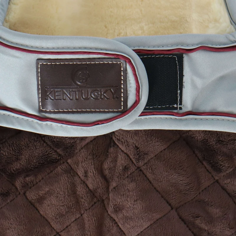 Kentucky Veste pour Chien Waterproof 160g Dusty Blue