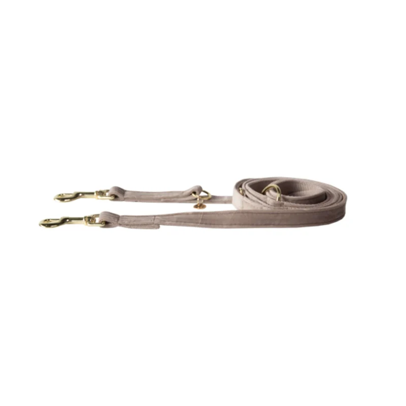 Kentucky Laisse pour Chien velours Beige