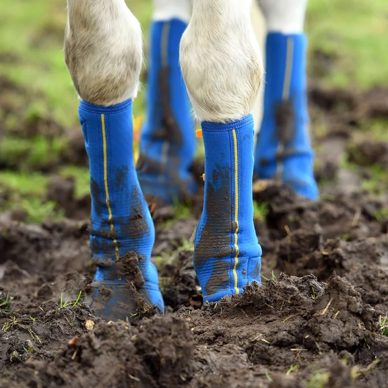 Equilibrium Guêtres Equi-Chaps Close Contact Marin