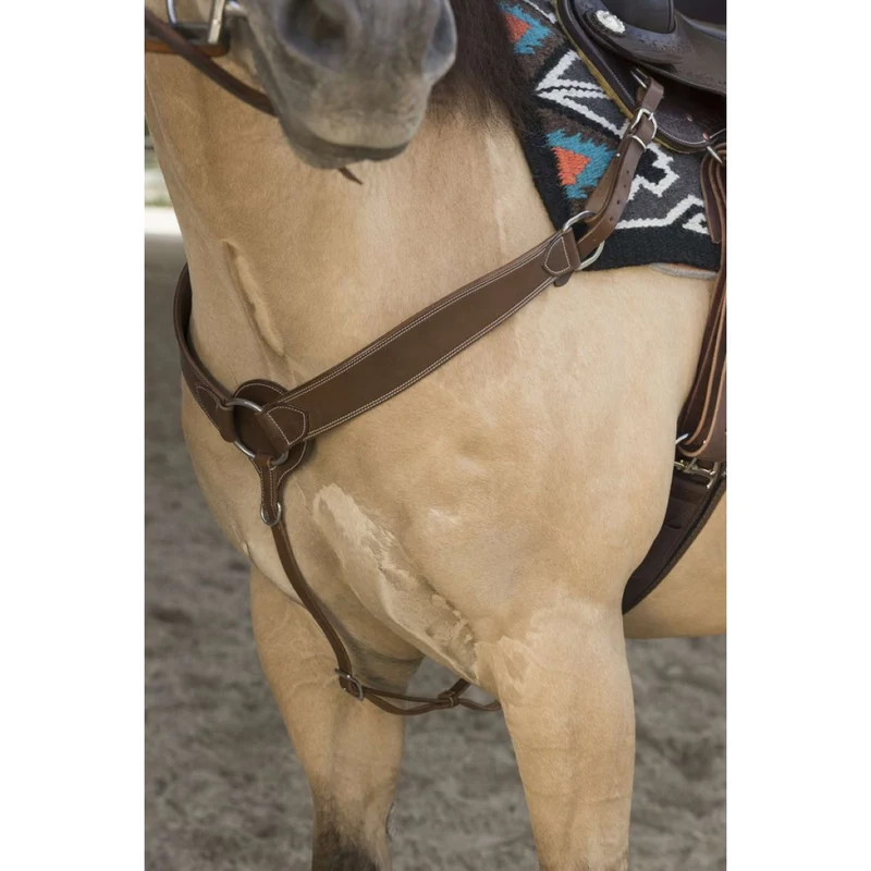 Westride Collier de Chasse Billy Choco