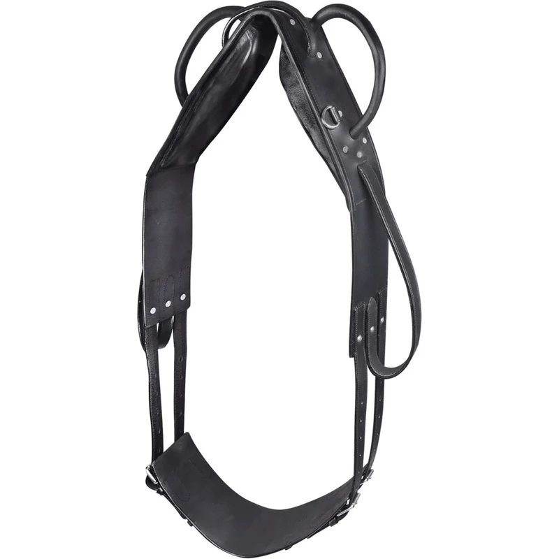 Waldhausen Surfaix de Voltige Noir