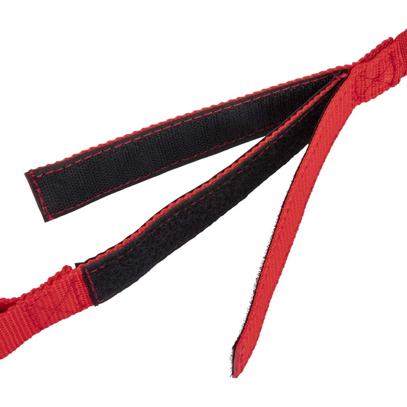 Shires Chaîne d'Attache Bungee Breakaway Rouge