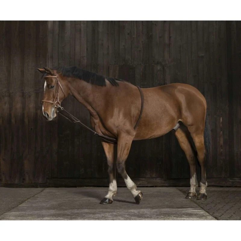 Norton Enrênement Peli Extensible Marron