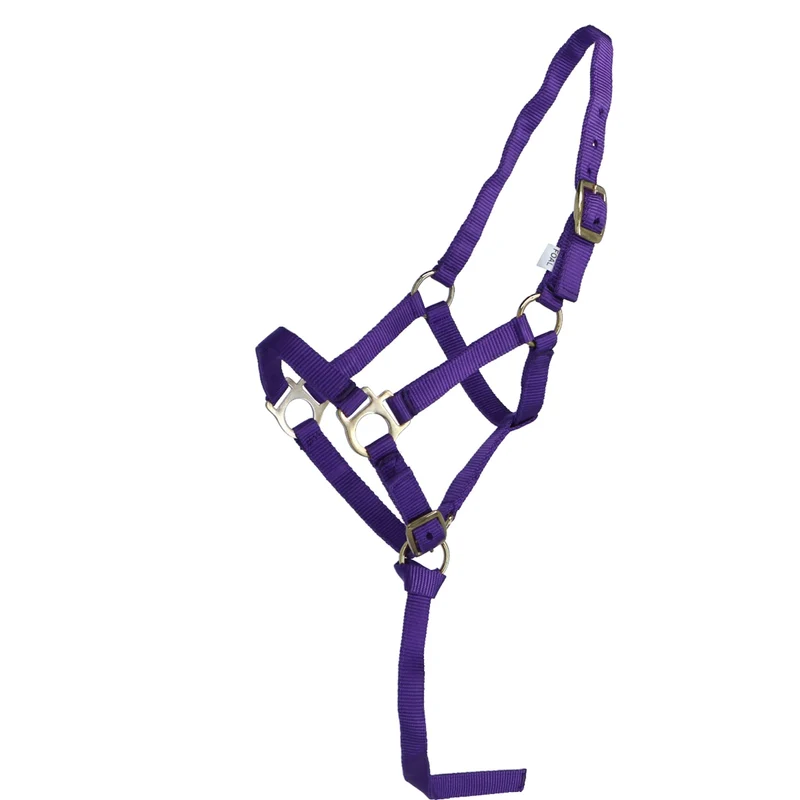 Norton Licol pour Poulain avec Ligne Violet