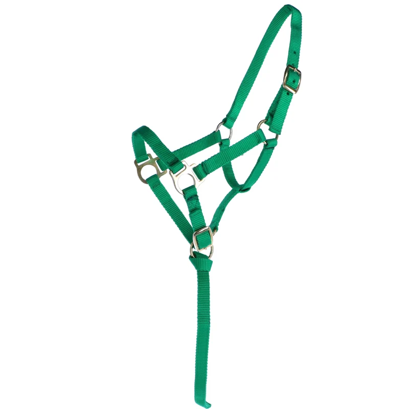 Norton Licol pour Poulain avec Longe Vert clair