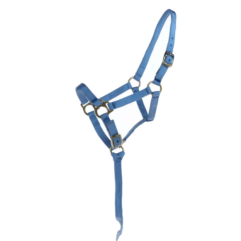 Norton Licol pour Poulain avec Ligne Bleu Clair