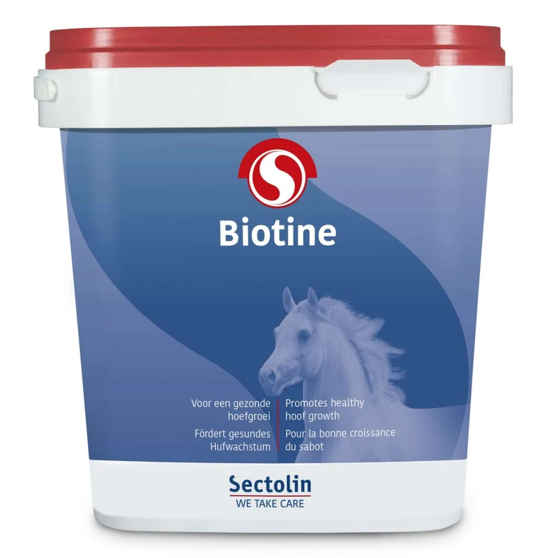 Sectolin Biotine Equivital