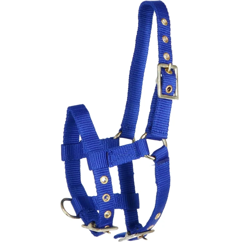 Norton Licol Mini Réglable Bleu Royal