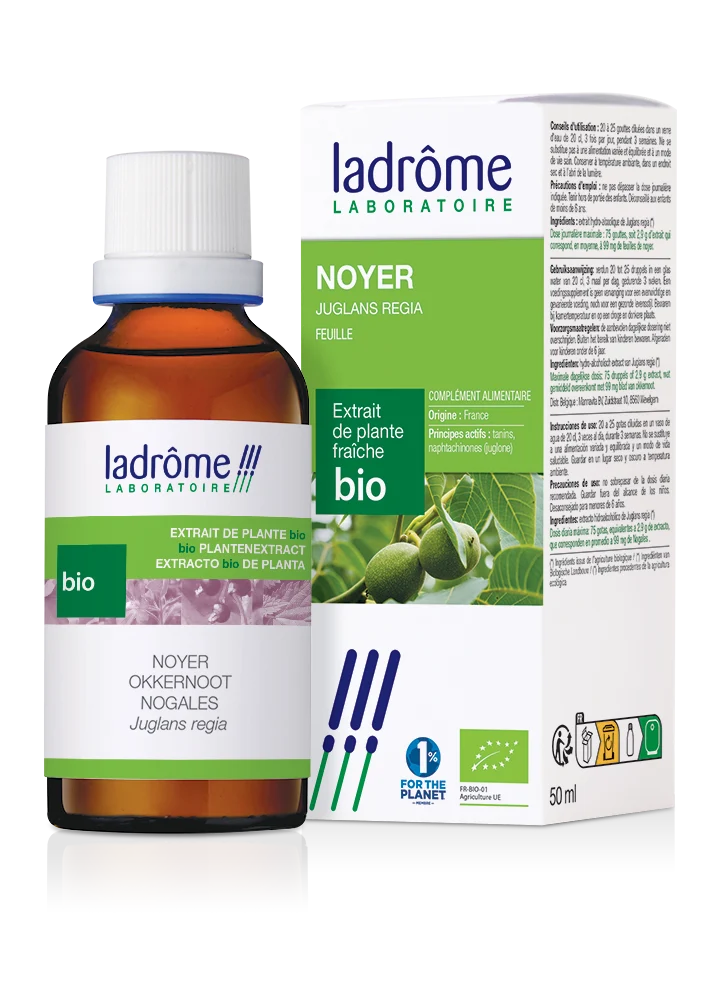 Noyer - Extrait bio