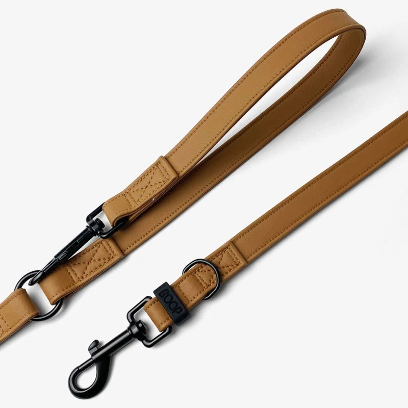 Laisse chien multiposition imperméable Boop the Snoop
