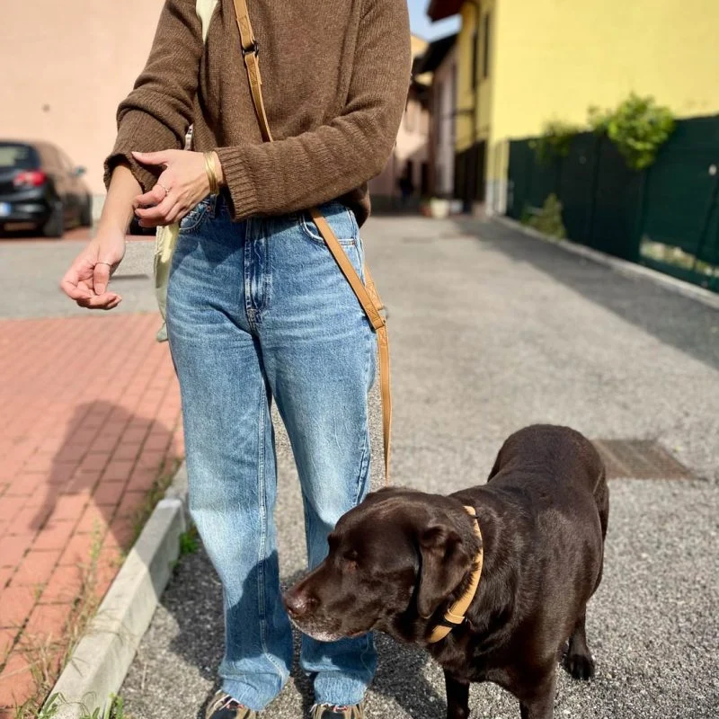Laisse chien multiposition imperméable Boop the Snoop