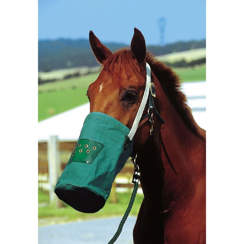 Hippotonic Musette Canvas Vert