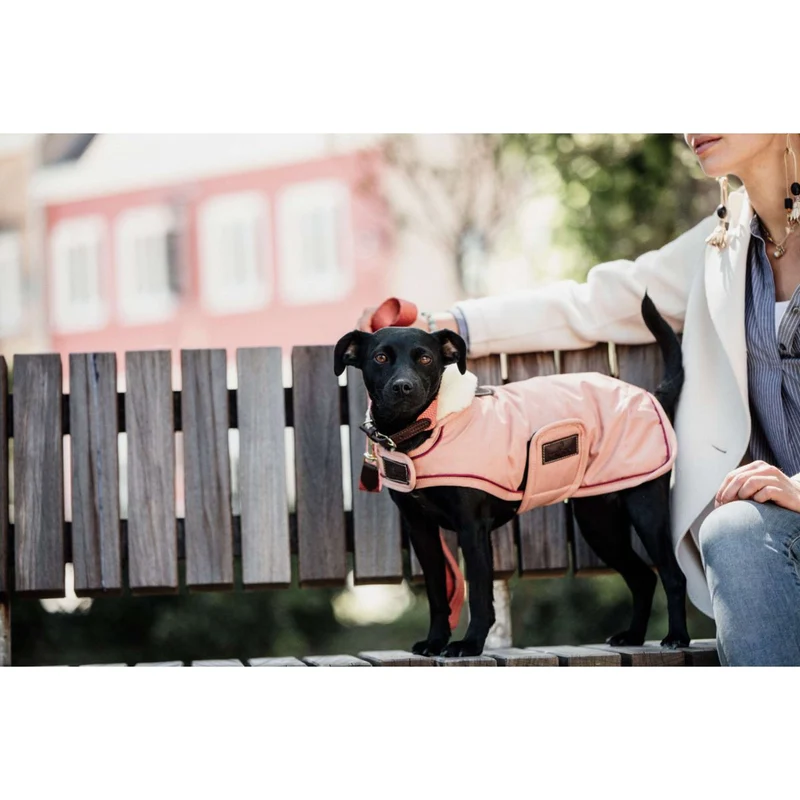 Kentucky Veste pour Chien Waterproof 160g Corail