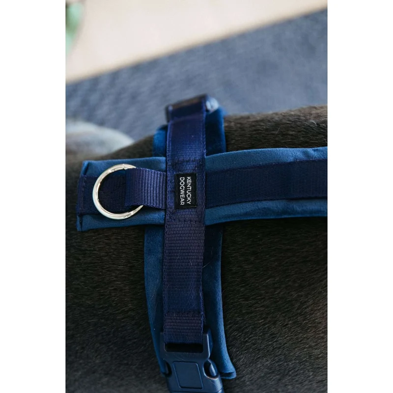 Kentucky Harnais Active velours Marin
