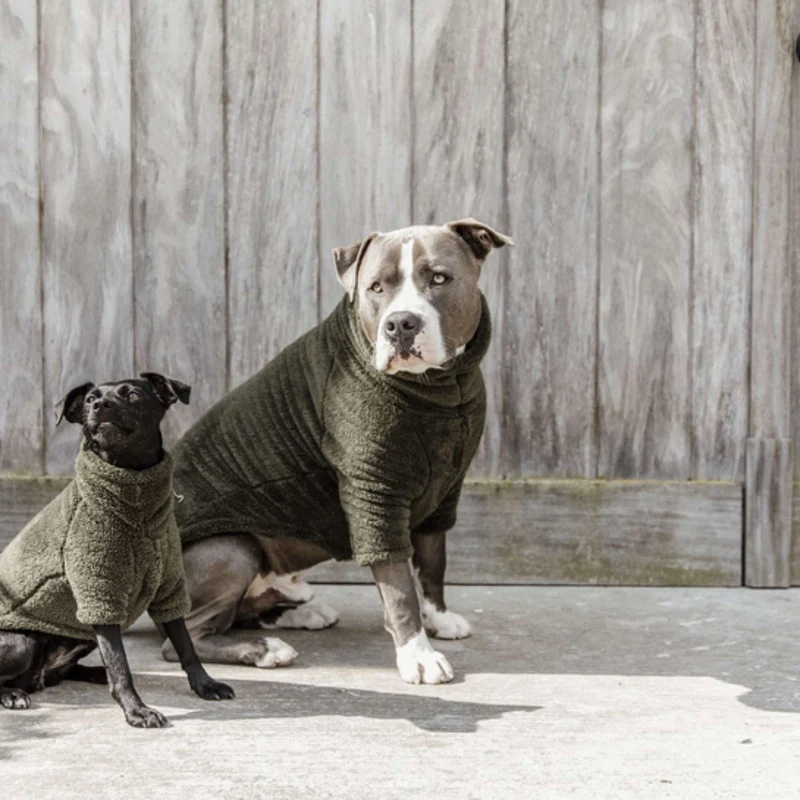 Kentucky Pull Chien Teddy Fleece Pine Green