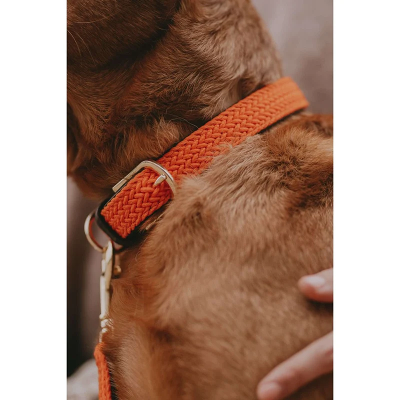 Kentucky Collier Plaited Nylon Orange