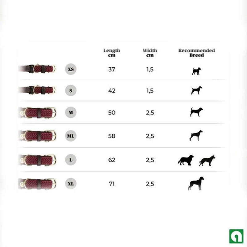 Kentucky Collier Plaited Nylon Bordeaux