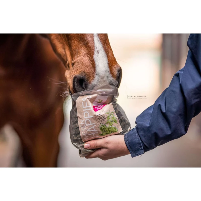 Bense & Eicke Friandises pour Cheval Wiesen Happies Baie Sauvage Herbes