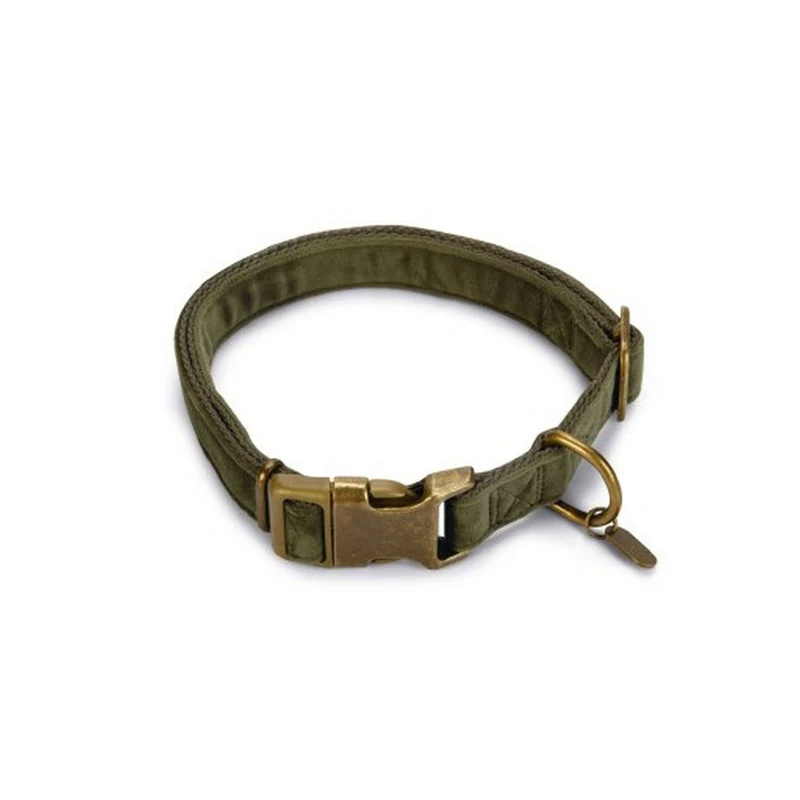 Designed by Lotte Collier pour Chien Velura Velours Vert