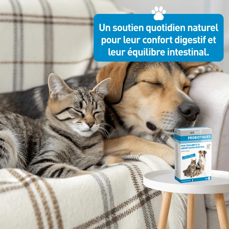 Probiotiques chien et chat - 30 comprimés
