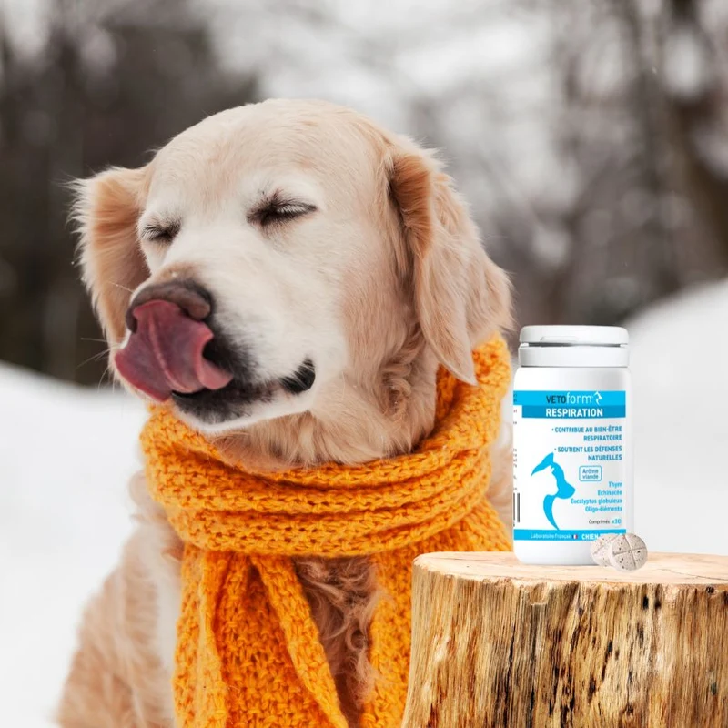 Aliment complémentaire - Respiration chat et chien - 30 comprimés