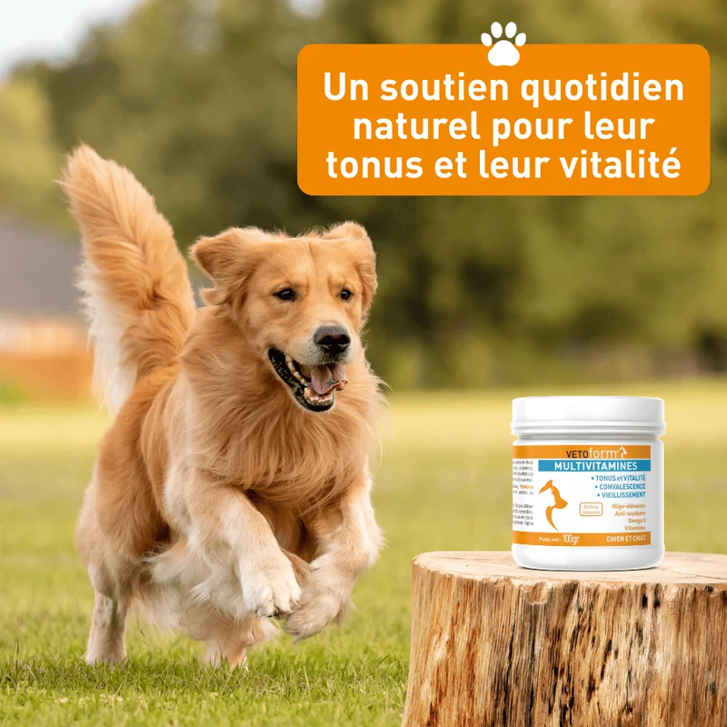 Aliment complémentaire- Multivitaminés chat et chien - 100g