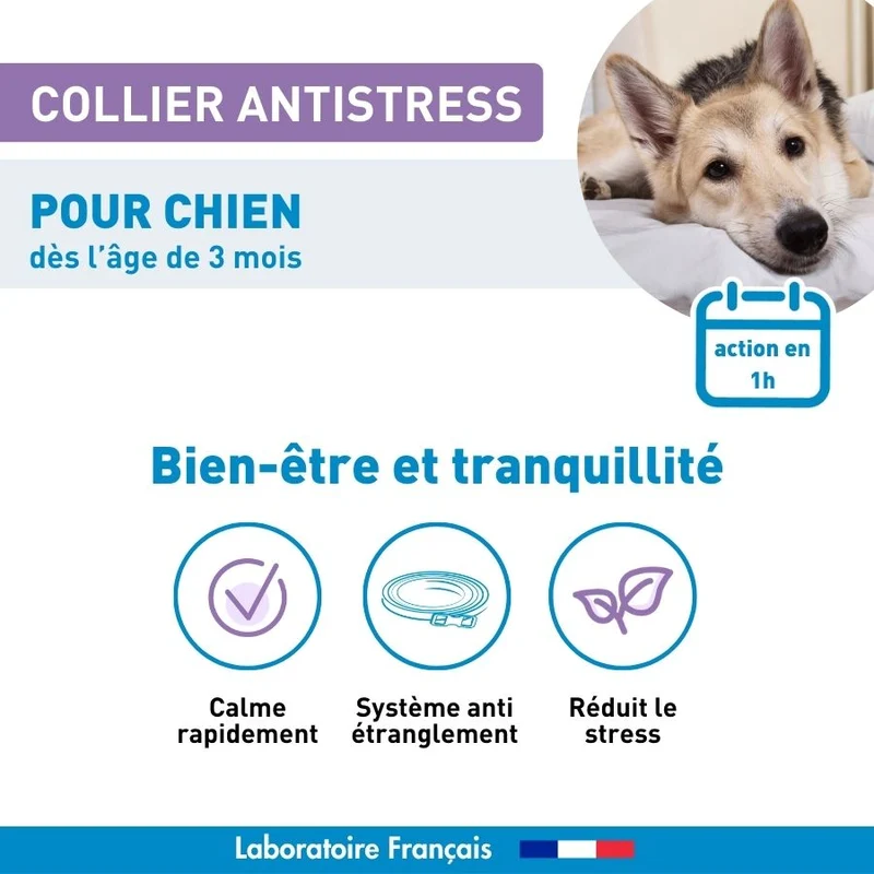 Calmant Anti-stress chien - 1 collier