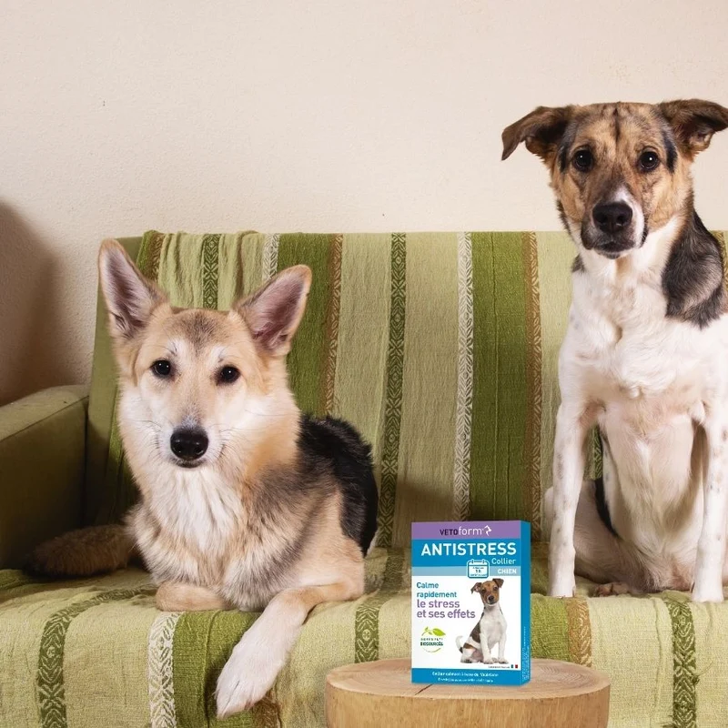 Calmant Anti-stress chien - 1 collier