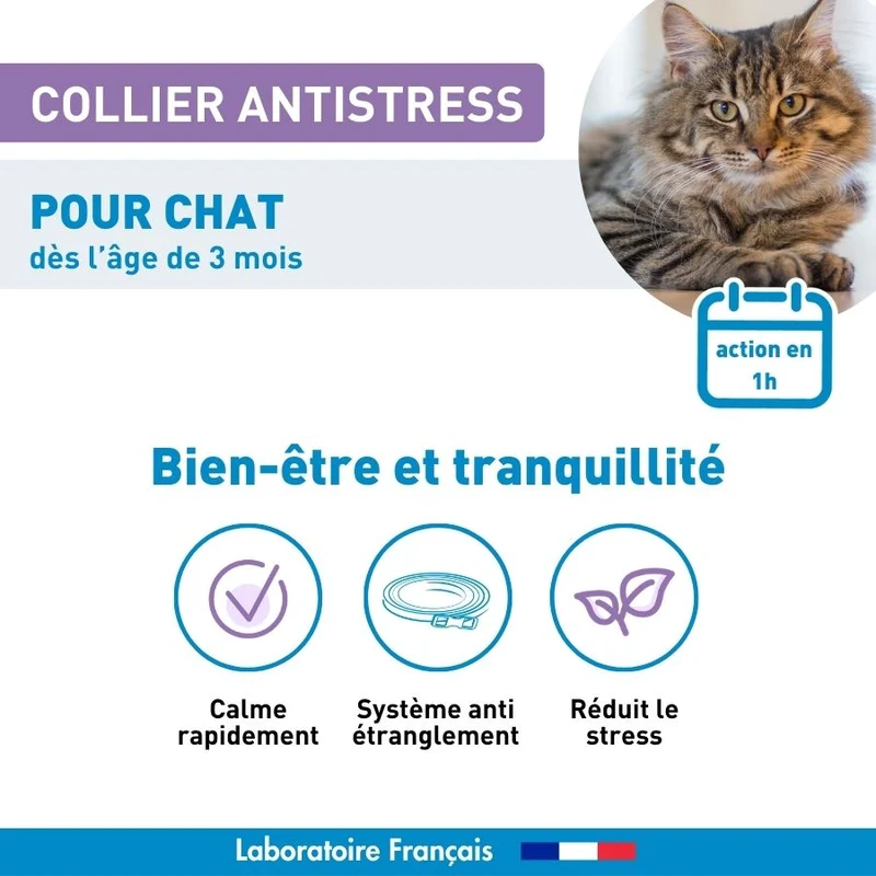 Calmant Anti-stress chat - 1 collier