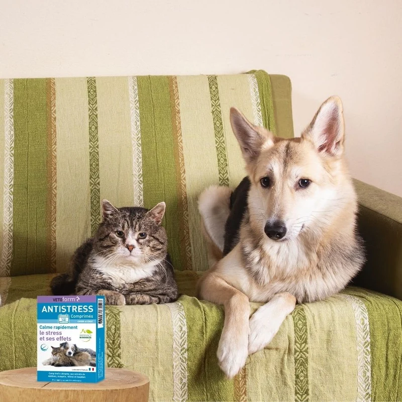 Calmant Anti-stress chien et chat - 20 cp