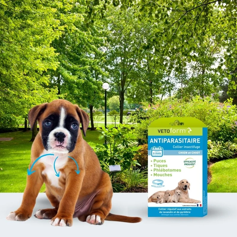 Antiparasitaire chien et chiot - 1 Collier