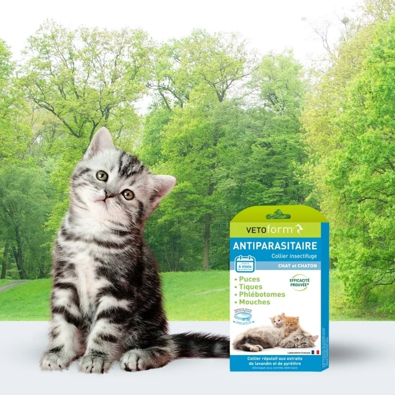 Antiparasitaire Chat et Chaton - 1 Collier