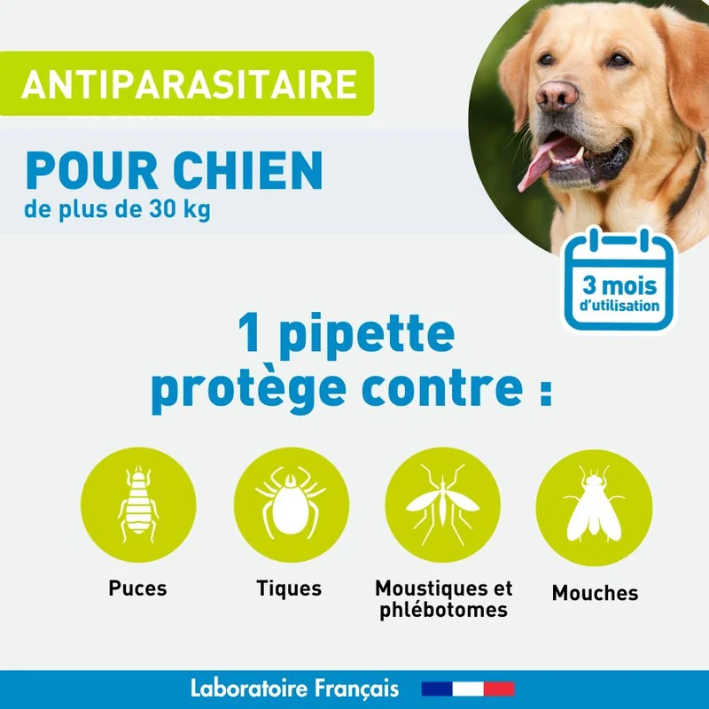 Antiparasitaire Grand chien - 5 pipettes