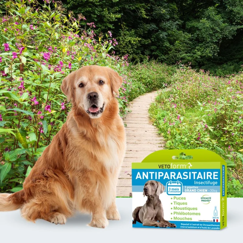 Antiparasitaire Grand chien - 5 pipettes