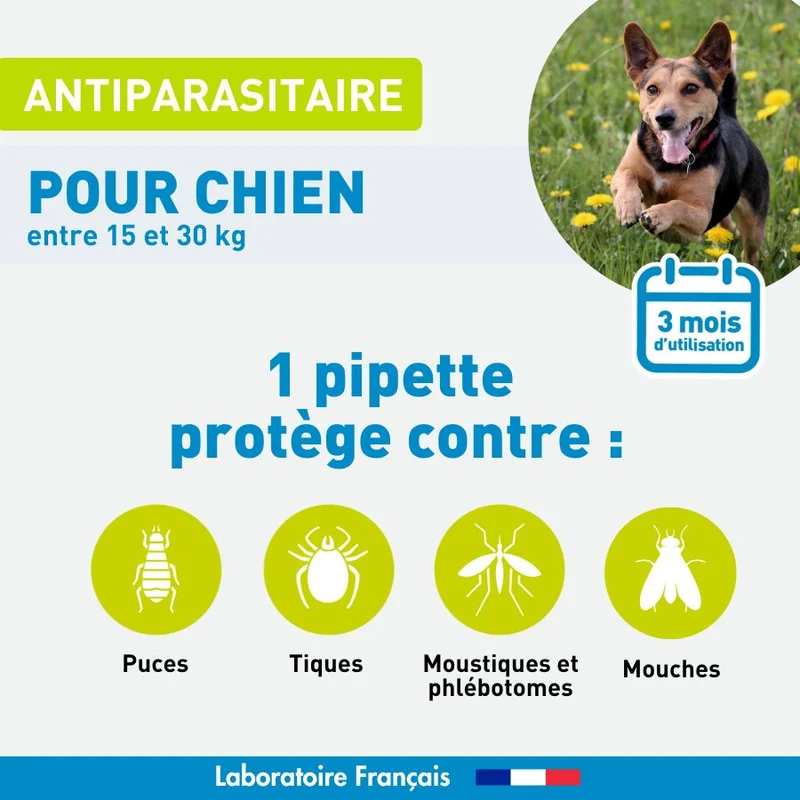 Antiparasitaire chien moyen - 3 pipettes