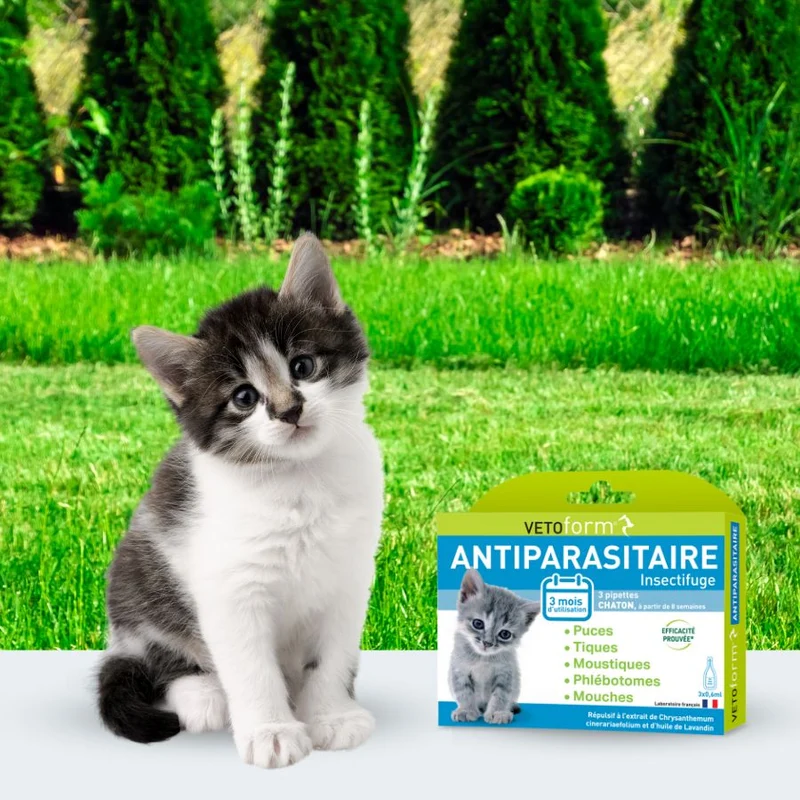 Antiparasitaire chaton - 3 pipettes