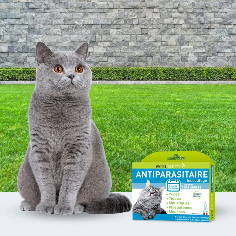 Antiparasitaire chat - 3 pipettes