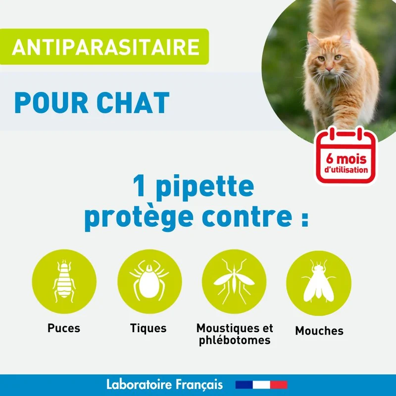 Antiparasitaire chat - 6 pipettes