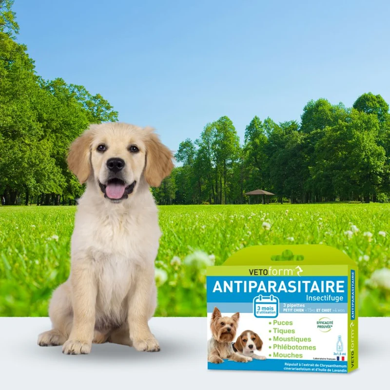 Antiparasitaire petit chien et chiot - 3 pipettes