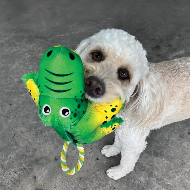 KONG Cozie Tuggz Grenouille